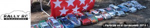 Participa en el rally 2015