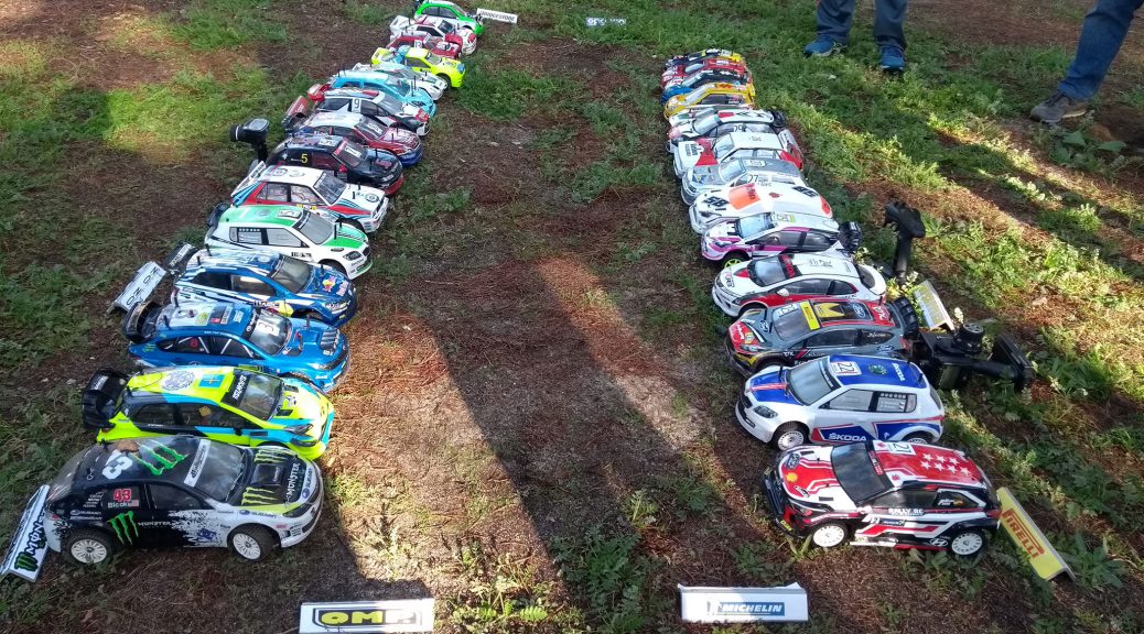 Rally Rc Gales 2019